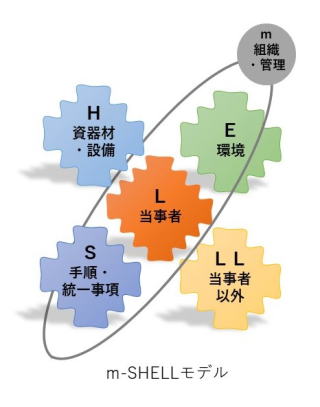 安全対策チーズ