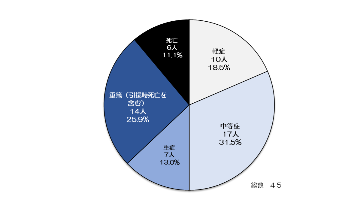 図6