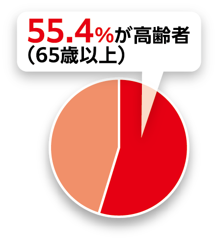 55.4%が高齢者(65歳以上)