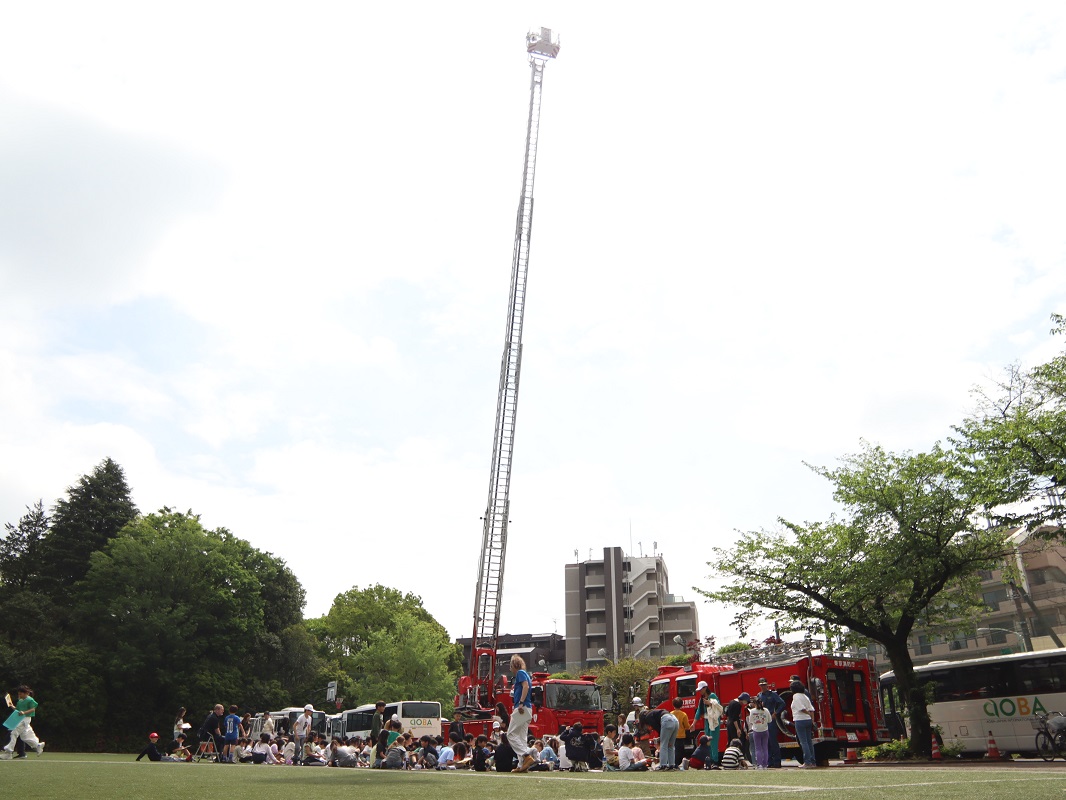 アオバジャパンインターナショナルスクール　実施風景