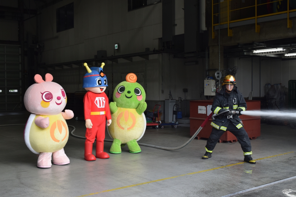 キュータ、こつこつカメちゃん、くるカメくん　コラボ