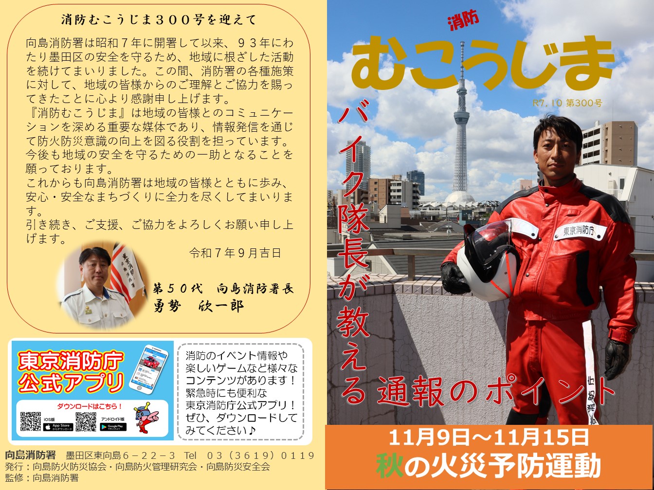 表表紙と裏表紙