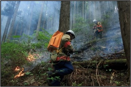 山林火災の様子
