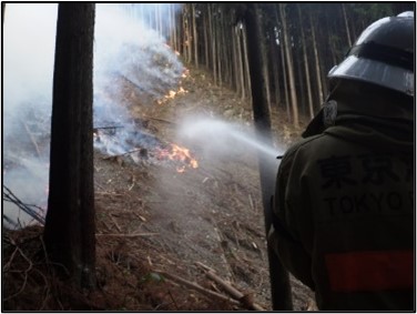 山林火災の様子