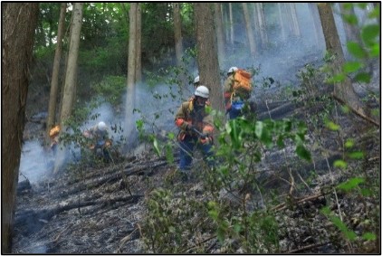 山林火災の様子