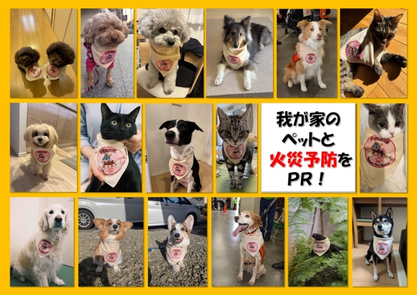 我が家のペットと火災予防をPR