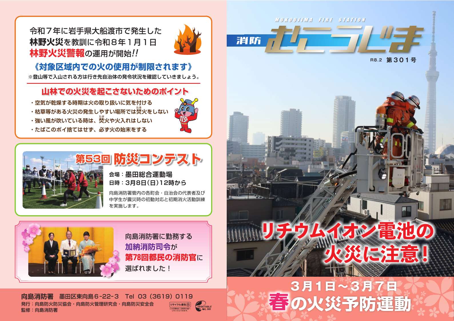 表表紙と裏表紙