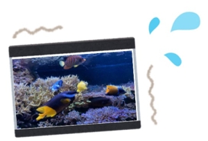 地震で水槽が揺れているイラスト