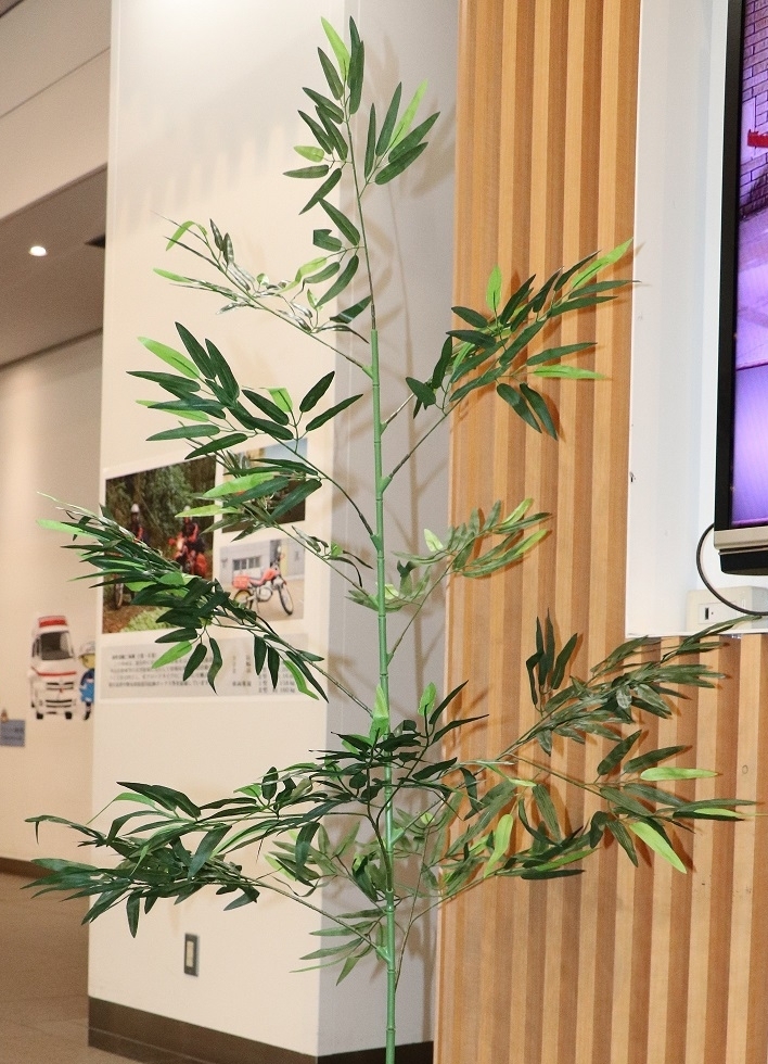 1階エントランスホールに笹が登場