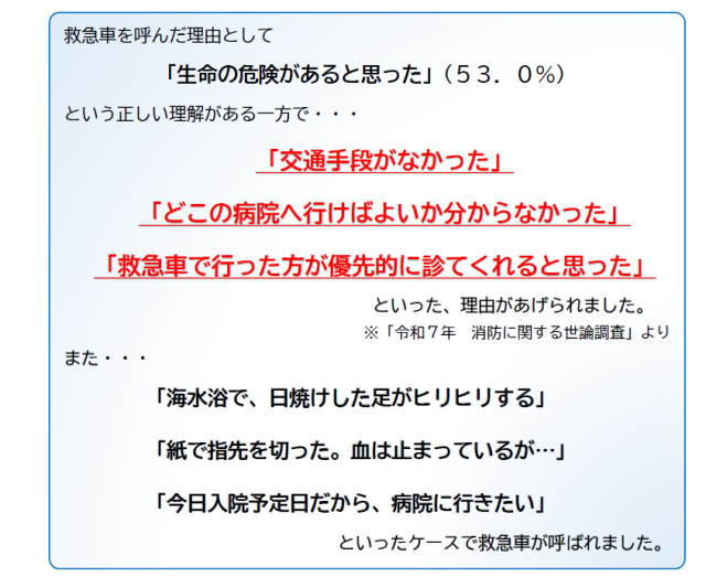  図2救急車要請理由の一例
