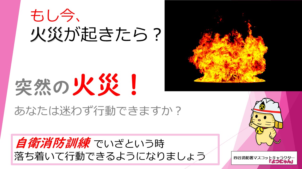 メインビジュアル画像:もし、今。