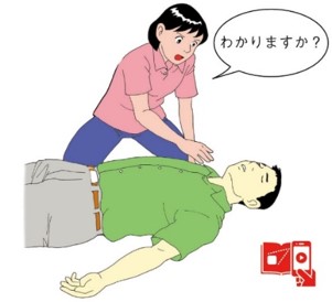 解説 イメージ