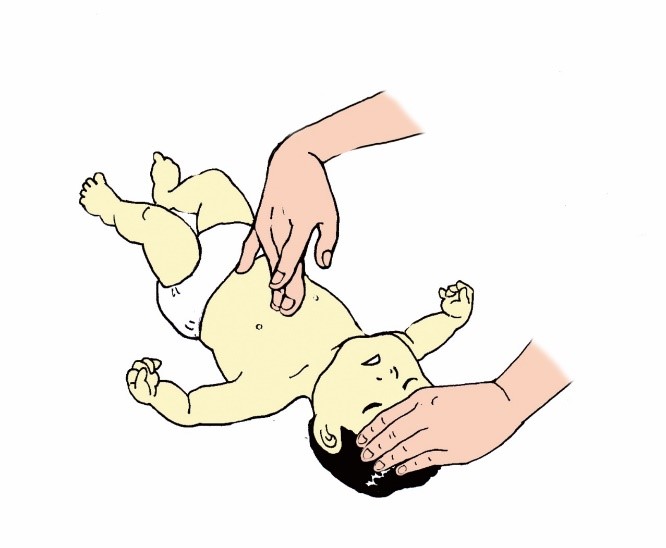 解説 イメージ