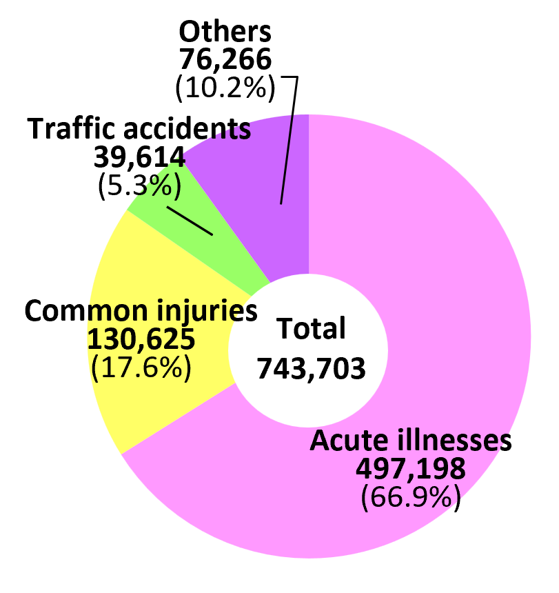 Ambulance Runs by  Incident：graf